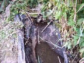 wp5006d900_0f.jpg